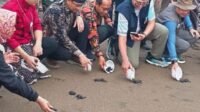 Rektor UB Prof Widodo Bersama Bupati Trenggalek Melepas Tukik di Pantai Kili Kili Trenggalek