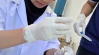 Bekal CoE Profesional Udang UMM Antar Mahasiswa ke Dunia Kerja Sebelum Wisuda Bekal CoE Profesional Udang UMM Antar Mahasiswa ke Dunia Kerja Sebelum Wisuda