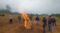 Polres Malang Musnahkan Sarana Arena Sabung Ayam Polres Malang Musnahkan Sarana Arena Sabung Ayam