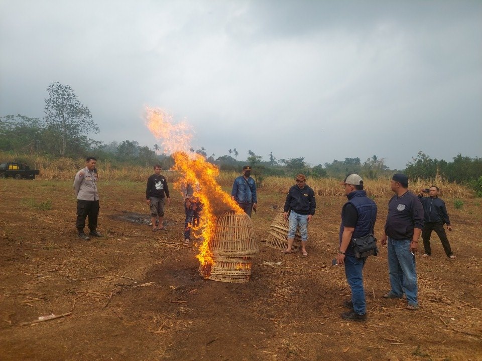 Polres Malang Musnahkan Sarana Arena Sabung Ayam