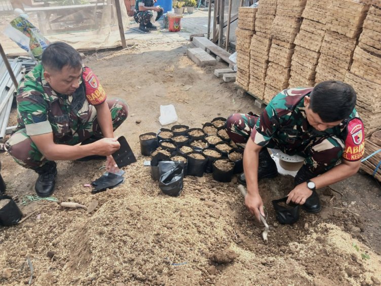 Koramil Sukun Tanam Bibit Pohon untuk Lingkungan Hijau