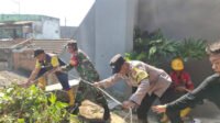 Pohon Tumbang Masuk Got di Tulusrejo