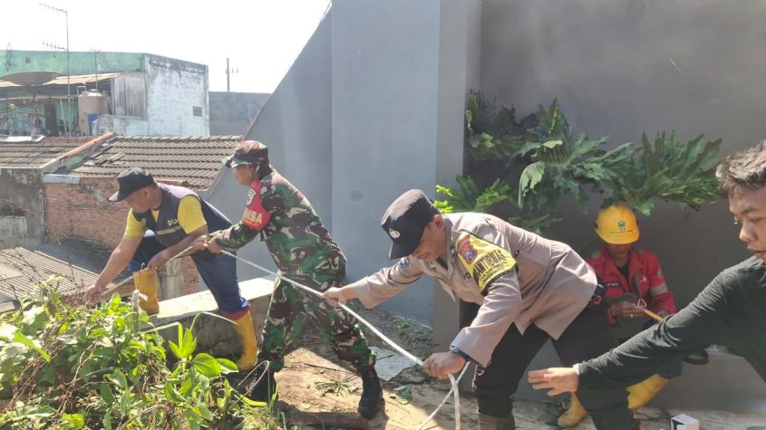 Pohon Tumbang Masuk Got di Tulusrejo