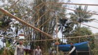 Polres Malang Musnahkan Bekas Arena Sabung Ayam Polres Malang Musnahkan Bekas Arena Sabung Ayam