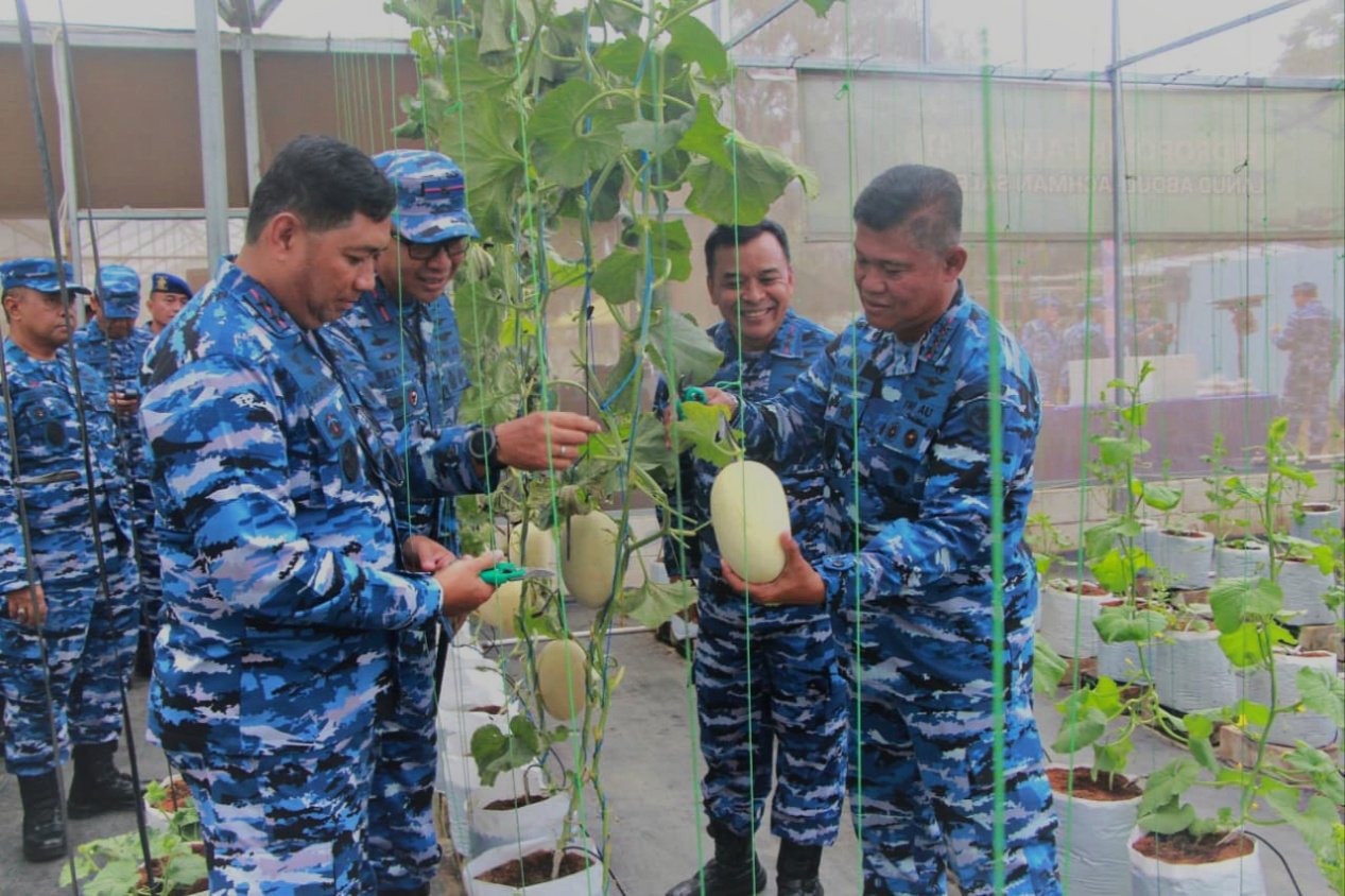 Pangkoopsudnas Panen Melon di Lanud Abd Saleh