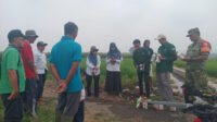 Babinsa Arjowinangun Dampingi Penyemprotan Padi Drone